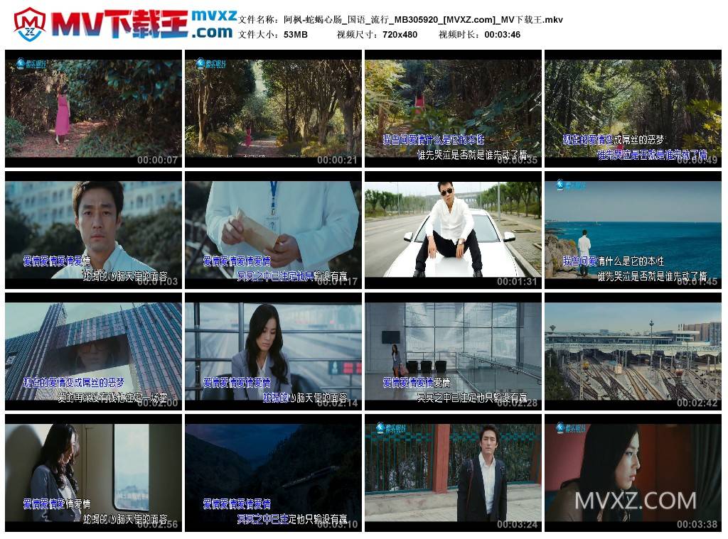 阿枫-蛇蝎心肠_国语_流行_MB305920